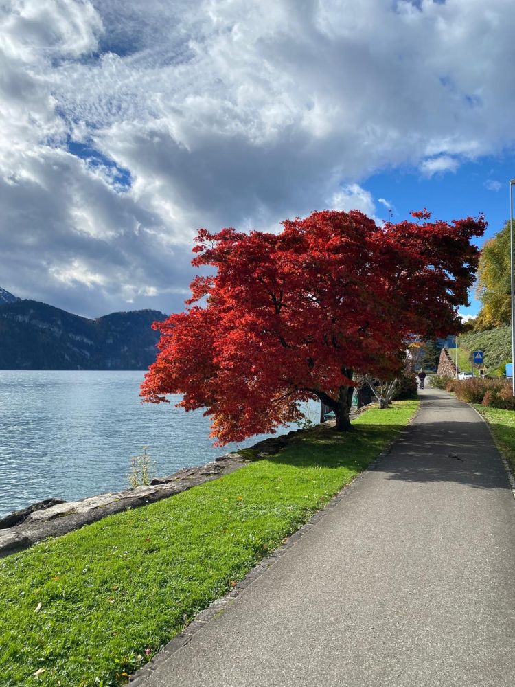 Unter uns: Drinnen & draussen Geist Körper & Seele Atemübungen & Herbstspaziergang